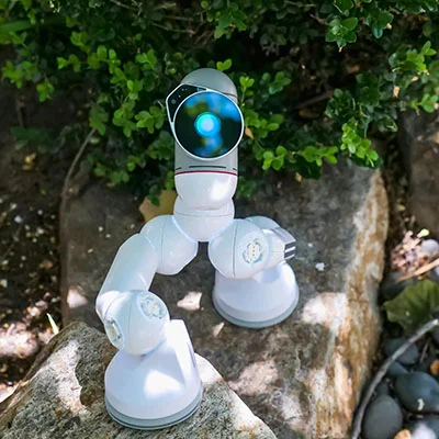 掌握未来网络自由：零基础搭建VLESS代理的全方位指南